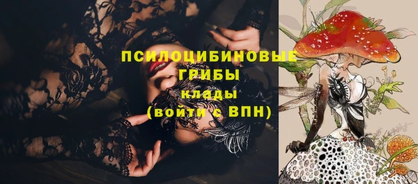 apvp Вязьма