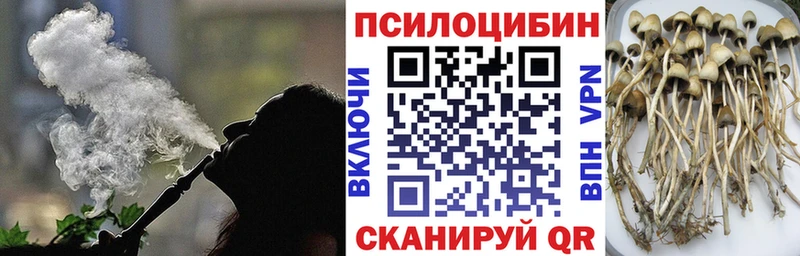 Галлюциногенные грибы Psilocybe  Купить закладки  Смоленск 